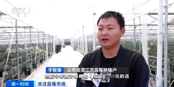 订单增长超1600%！商家进货都靠“抢”
