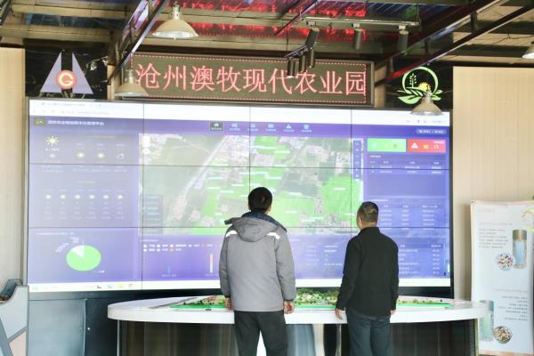 河北东光：科技助农春管忙