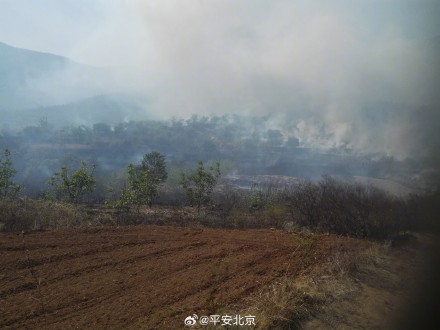 以案为鉴!曾有多人因引发森林火灾被判刑 以案为鉴!曾有多人因引发森林火灾被判刑