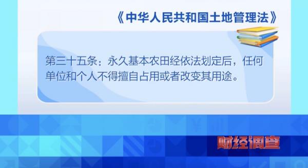 耗资超800万元建高圭臬农田，两年后改建光伏电站！当地稻谷亩产大跌