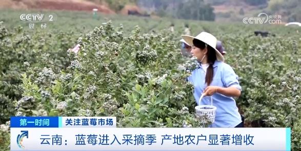 订单增长超1600%！商家进货都靠“抢”