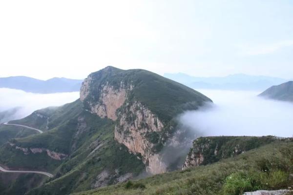 最新！发现山西华北豹！这17张高清“豹图”全部免费