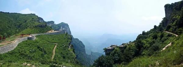 最新！发现山西华北豹！这17张高清“豹图”全部免费