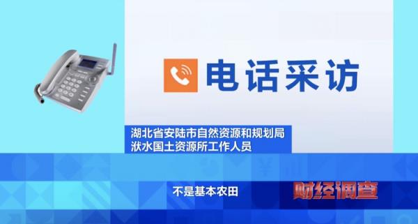 耗资超800万元建高圭臬农田，两年后改建光伏电站！当地稻谷亩产大跌