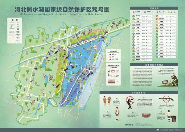 河北衡水湖国家自然保护区发布全季观鸟图 河北衡水湖国家自然保护区发布全季观鸟图