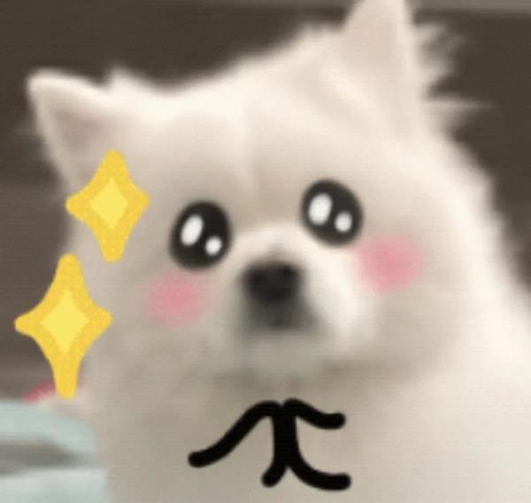 女友意外死亡,杭州小伙忙前忙后!结局反转 女友意外死亡,杭州小伙忙前忙后!结局反转