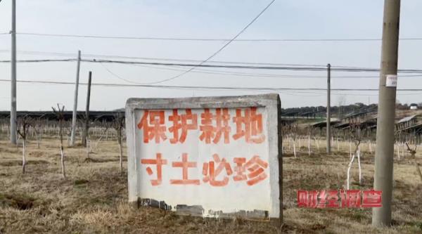 耗资超800万元建高圭臬农田，两年后改建光伏电站！当地稻谷亩产大跌