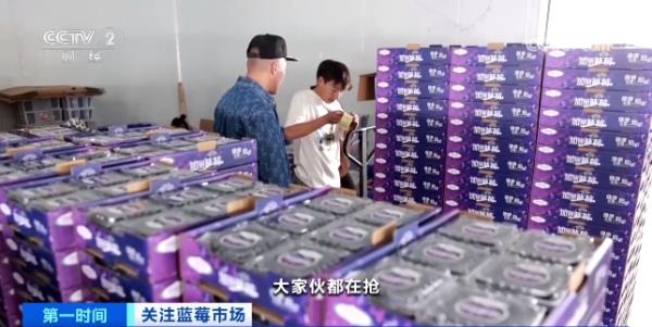 订单增长超1600%！商家进货都靠“抢”