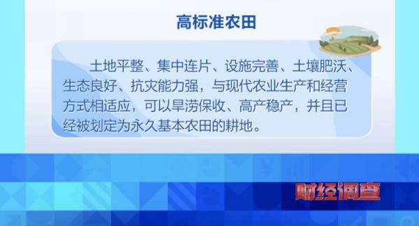 耗资超800万元建高圭臬农田，两年后改建光伏电站！当地稻谷亩产大跌