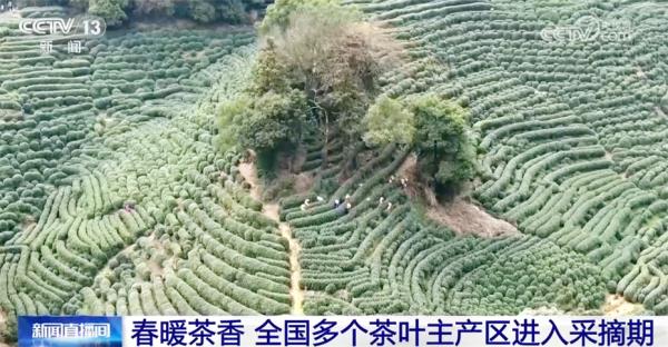 多领域“向着春天进发”传递经济运行积极信号 中国高质量发展稳中向好