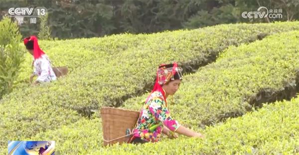 多领域“向着春天进发”传递经济运行积极信号 中国高质量发展稳中向好