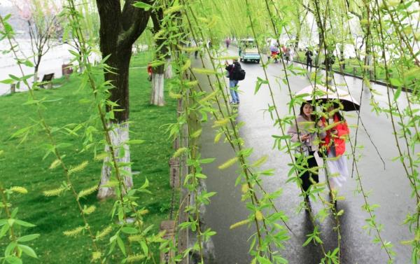 雷暴大风红色预警！还有暴雨、冰雹…浙江发布160条预警，下班早些回家