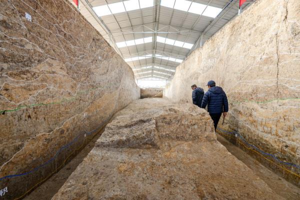 新华全媒+丨湖北荆门屈家岭遗址 新华全媒+丨湖北荆门屈家岭遗址