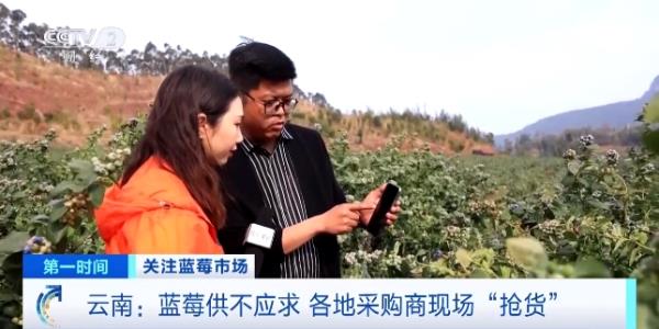 订单增长超1600%！商家进货都靠“抢”