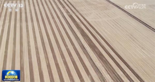 多领域“向着春天进发”传递经济运行积极信号 中国高质量发展稳中向好