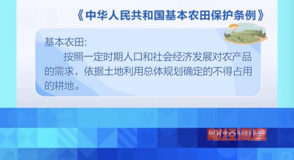 耗资超800万元建高圭臬农田，两年后改建光伏电站！当地稻谷亩产大跌