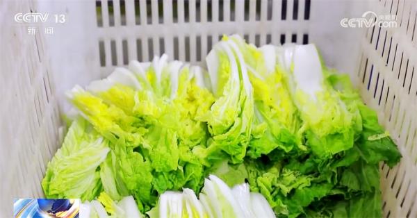 多领域“向着春天进发”传递经济运行积极信号 中国高质量发展稳中向好