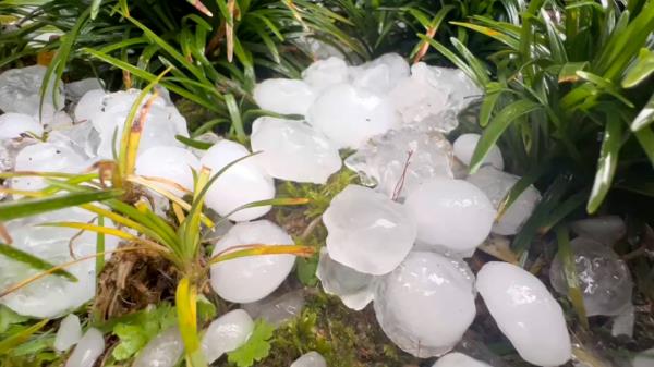 雷暴大风红色预警！还有暴雨、冰雹…浙江发布160条预警，下班早些回家