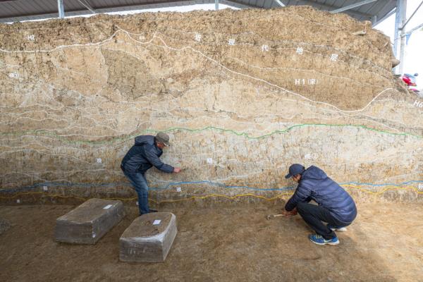 新华全媒+丨湖北荆门屈家岭遗址 新华全媒+丨湖北荆门屈家岭遗址