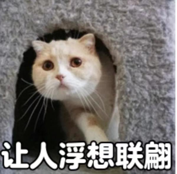 杭州姑娘社交平台发泳装照！被男友要求：删除！