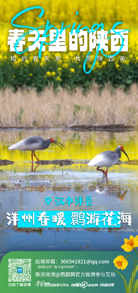 相约春天里 共赏陕西美 相约春天里 共赏陕西美