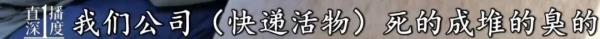 “成堆的动物尸体”！屡禁不止！快递点又现这种快递......