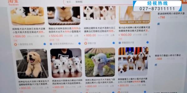 “成堆的动物尸体”！屡禁不止！快递点又现这种快递......