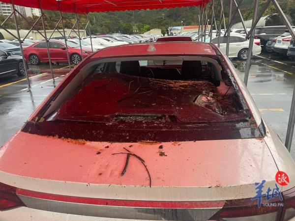 小车停在路边被树砸中，谁负责？