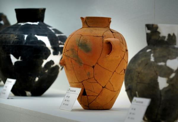 新华全媒+丨走近河南永城王庄遗址 新华全媒+丨走近河南永城王庄遗址