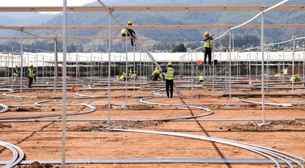 卖爆了!订单量同比增幅1637.65%,商家都来云南“抢货”…… 卖爆了!订单量同比增幅1637.65%,商家都来云南“抢货”……