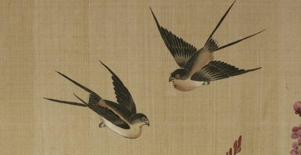 古之“玄鸟”能预示晴雨农时?看古人洞察自然的智慧! 古之“玄鸟”能预示晴雨农时?看古人洞察自然的智慧!