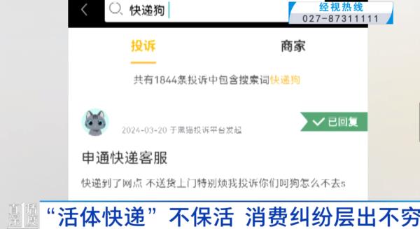 “成堆的动物尸体”！屡禁不止！快递点又现这种快递......