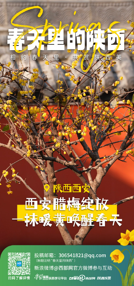 相约春天里 共赏陕西美 相约春天里 共赏陕西美