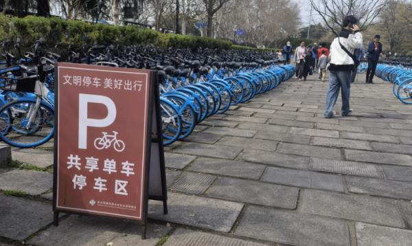 西湖边，这个杭州姑娘火了！每天与500斤的大家伙打交道，一开口，绝了！
