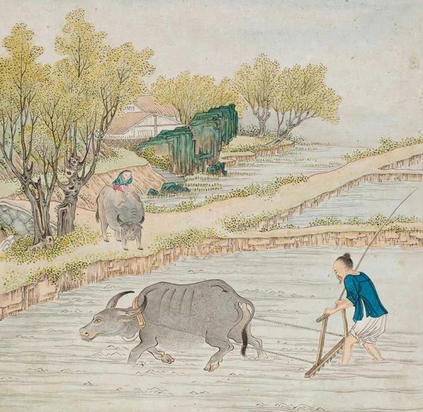 古之“玄鸟”能预示晴雨农时?看古人洞察自然的智慧! 古之“玄鸟”能预示晴雨农时?看古人洞察自然的智慧!