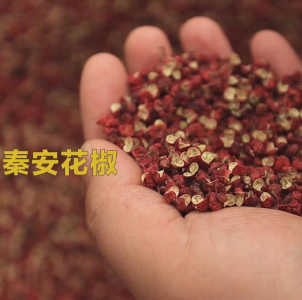 20天,近14亿元!一碗麻辣烫“点燃”一座城!还带火了这些“土特产” 20天,近14亿元!一碗麻辣烫“点燃”一座城!还带火了这些“土特产”