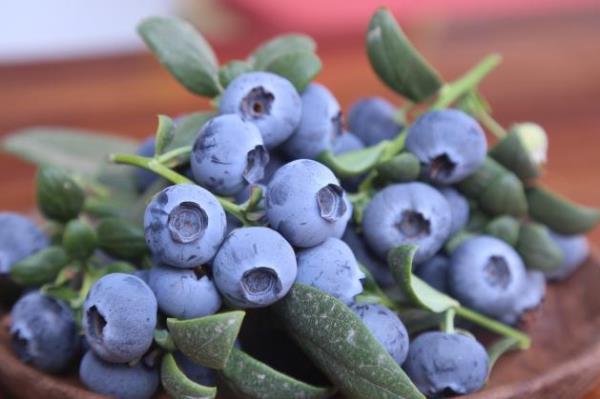 卖爆了!订单量同比增幅1637.65%,商家都来云南“抢货”…… 卖爆了!订单量同比增幅1637.65%,商家都来云南“抢货”……