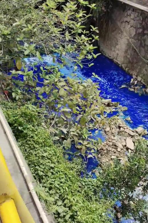 广东一河道漂浮大量蓝色液体疑为污染物？生态环境局回应