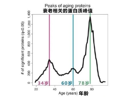 断崖式衰老容易发生在3个年龄 断崖式衰老容易发生在3个年龄
