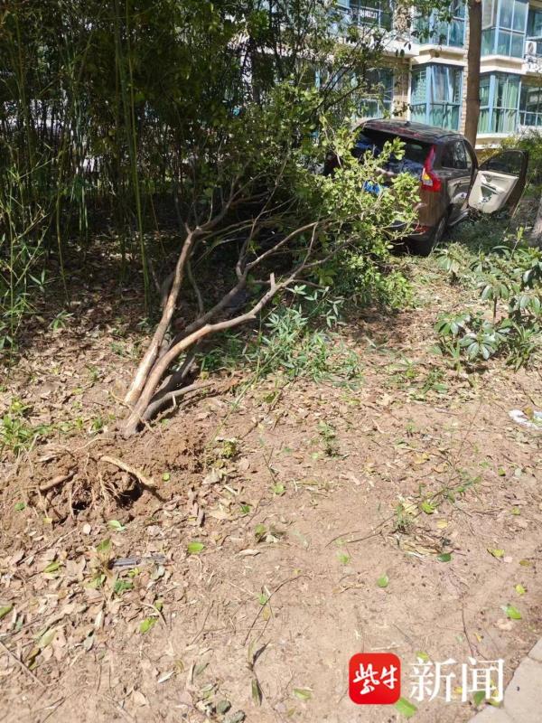 小区内过弯道猛踩油门，小轿车连撞两棵绿化树
