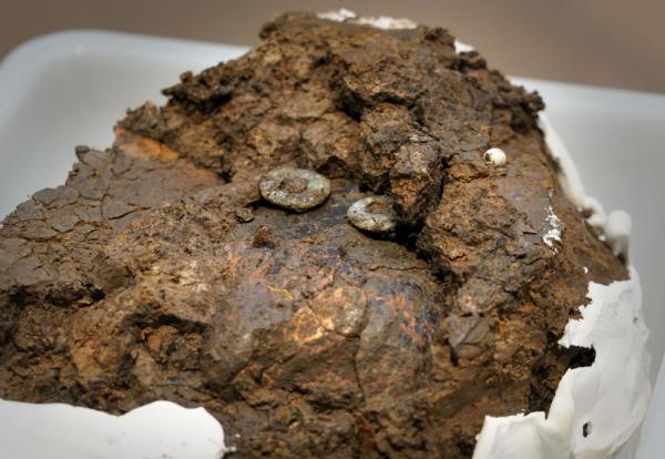 新华全媒+丨走近河南永城王庄遗址 新华全媒+丨走近河南永城王庄遗址