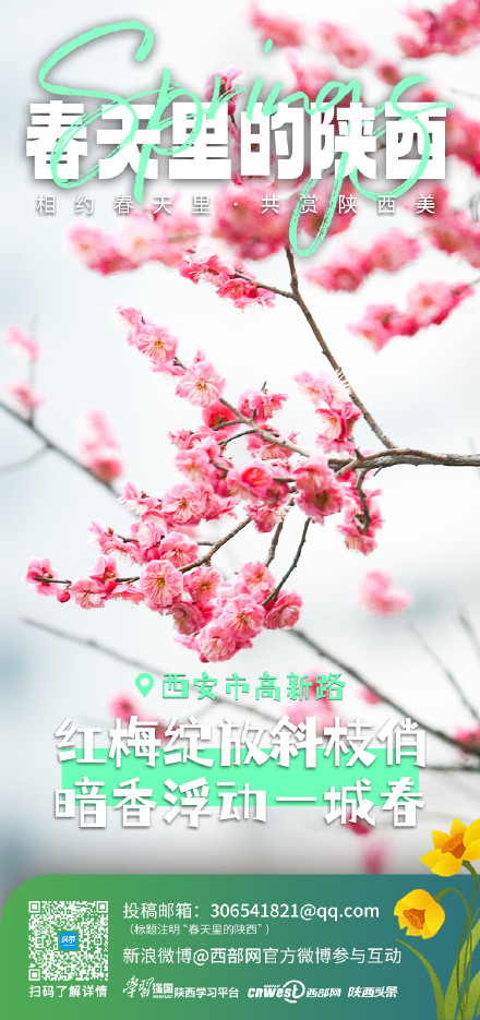 相约春天里 共赏陕西美 相约春天里 共赏陕西美