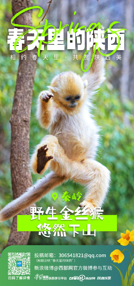 相约春天里 共赏陕西美 相约春天里 共赏陕西美