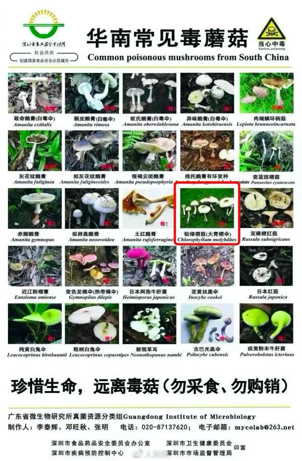 有剧毒!深圳已发现!疾控紧急提醒 有剧毒!深圳已发现!疾控紧急提醒