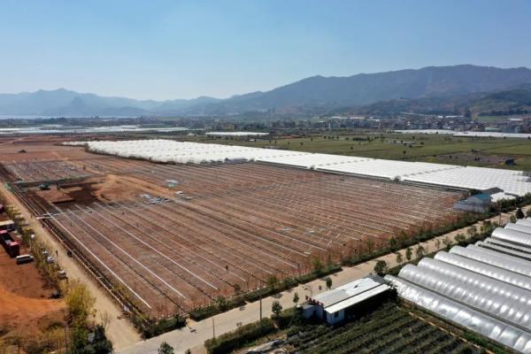 卖爆了!订单量同比增幅1637.65%,商家都来云南“抢货”…… 卖爆了!订单量同比增幅1637.65%,商家都来云南“抢货”……