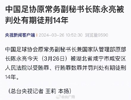 陈永亮一审被判14年