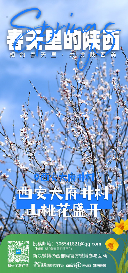 相约春天里 共赏陕西美 相约春天里 共赏陕西美