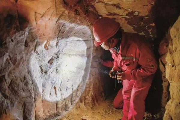 全部封堵一批案件加快办理宁夏亮剑盗挖贩卖龙骨