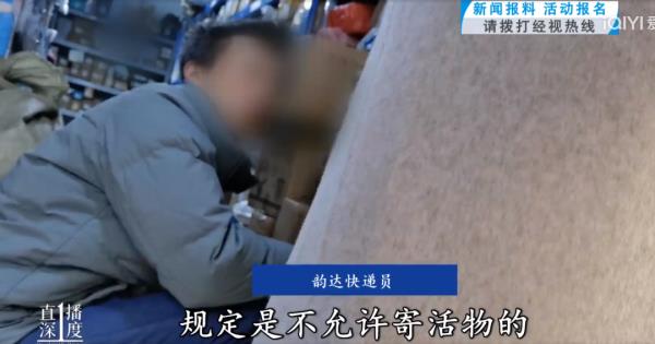 “成堆的动物尸体”！屡禁不止！快递点又现这种快递......