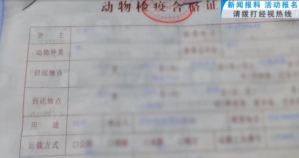 “成堆的动物尸体”！屡禁不止！快递点又现这种快递......